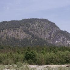 Niederskopf