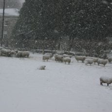 Canonbie, Free Church Manse