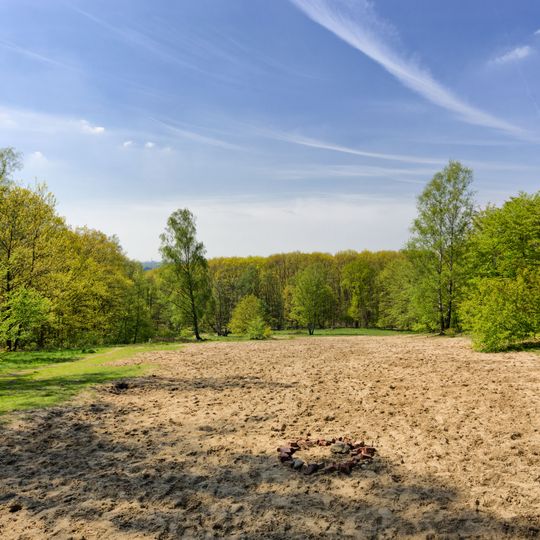 NSG Hangquellen an der Tannenstrasse