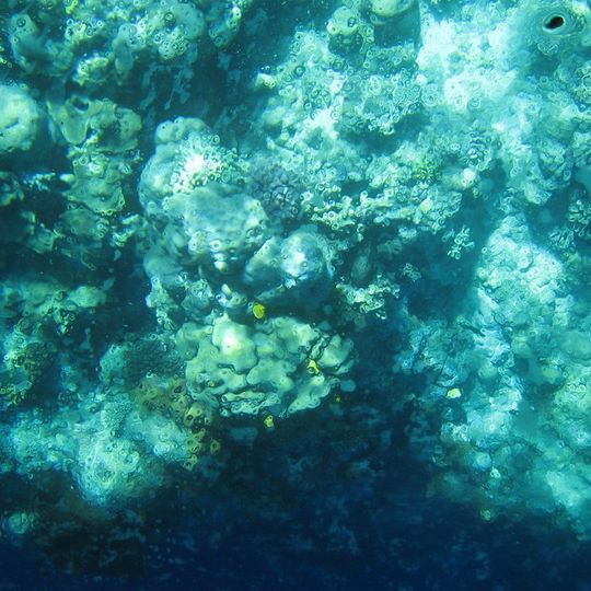 Bunaken Island