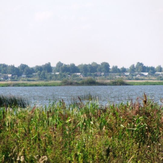 Nekrasovsky District