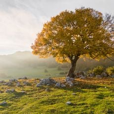 Monte Gennaro
