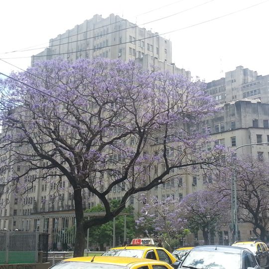 Faculty of Medical Sciences, University of Buenos Aires