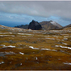 Îles de Gough et Inaccessible
