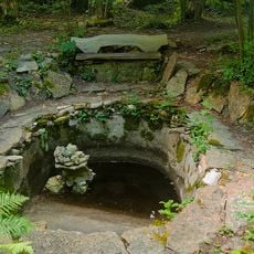 Mihkel Ranna dendraarium