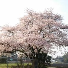 栗山運動公園
