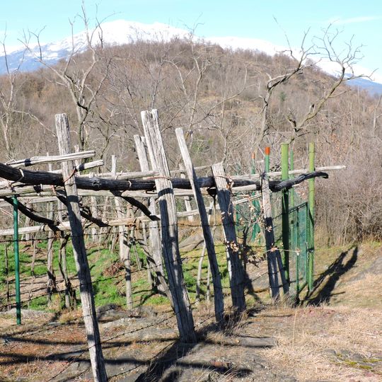 Boschi e Paludi di Bellavista