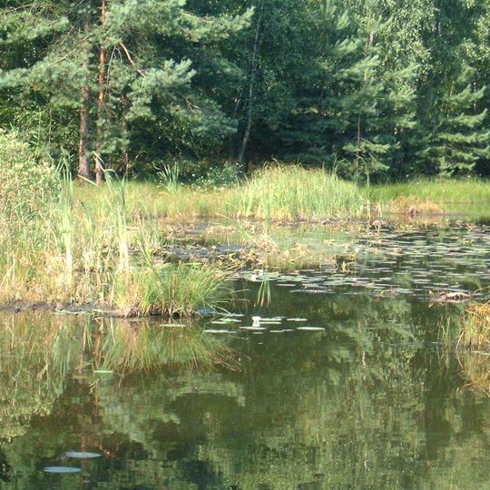 Rezerwat przyrody Torfowisko nad Jeziorem Świętym