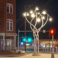 Luminous Arbor