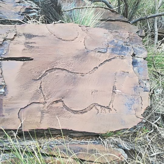 Piedras blancas, Almería
