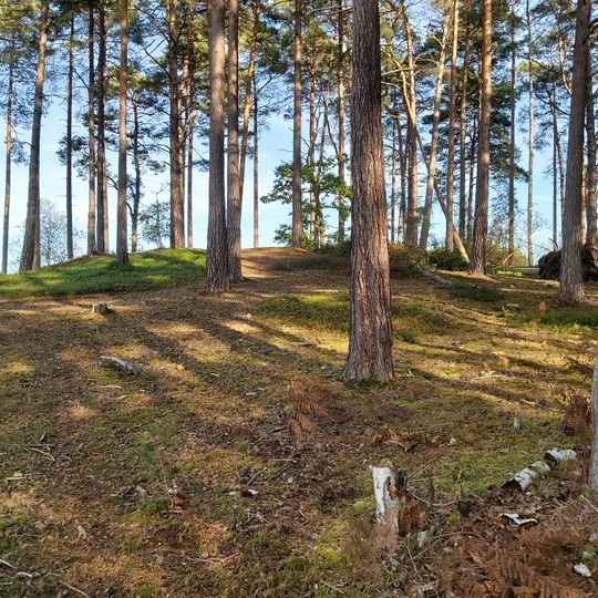 Bowl barrow 180m south east of Forest Cottage