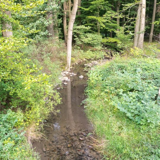 Schwarzer Bach / Sellenbach