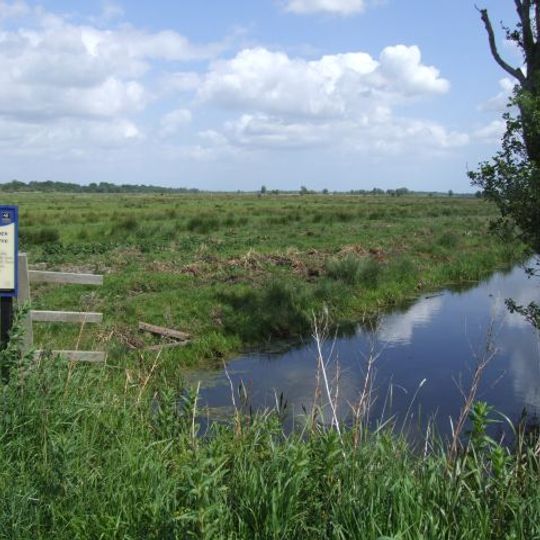 Barnby Broad and Marshes