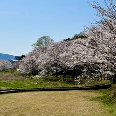 宇佐風土記の丘