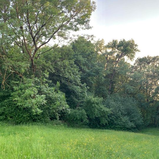 Vogelschutzbiotop im Gewann Mutzenreis