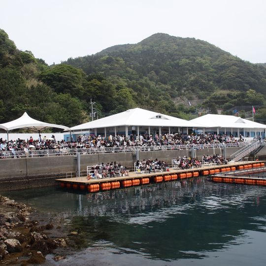 うみたま体験パーク「つくみイルカ島」