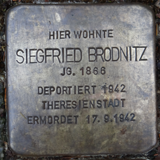 Siegfried Brodnitz