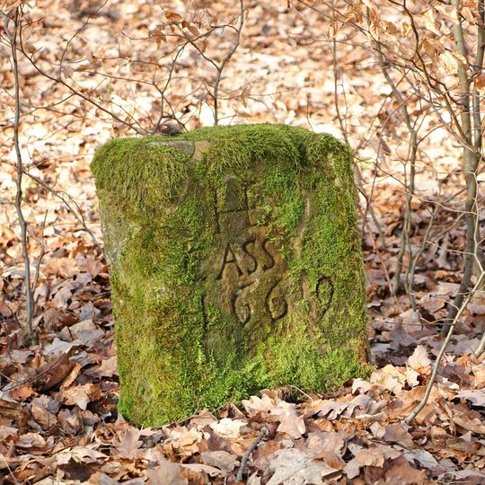 Grenzstein Hessen HC-HD N339 1669