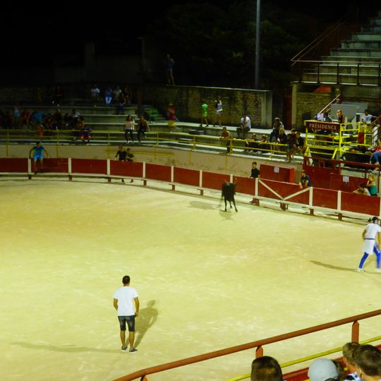 Arènes de Saint-Rémy-de-Provence