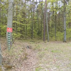 Nature reserve Wrząca