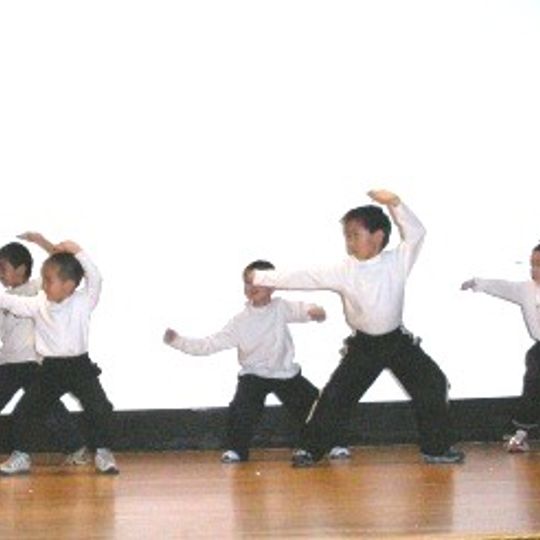 St. Louis Modern Chinese School