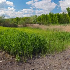 Терентіївські гори