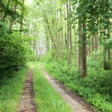 Schutz von Landschaftsteilen im Ortsteil Illbach, Gemeinde Wallkofen des Landkreises Mallersdorf (LSG Auwald südöstlich Illbach)