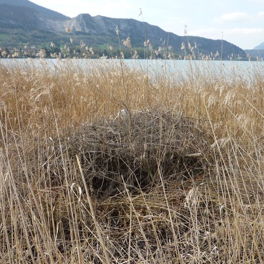Bout Du Lac D'Annecy