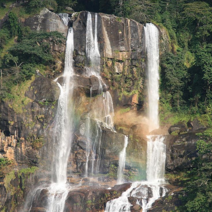 Udzungwa Mountains nasjonalpark