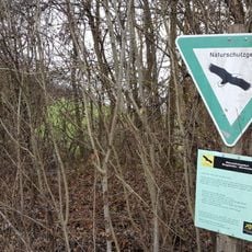 Ringelstaler-Weinhalde