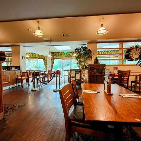 Castle Carvery