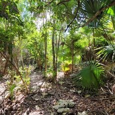Curry Hammock State Park