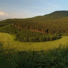 Javornícka hornatina