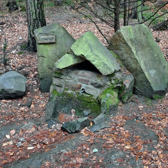 Forest Spring