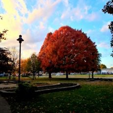 Cap Gardner Park