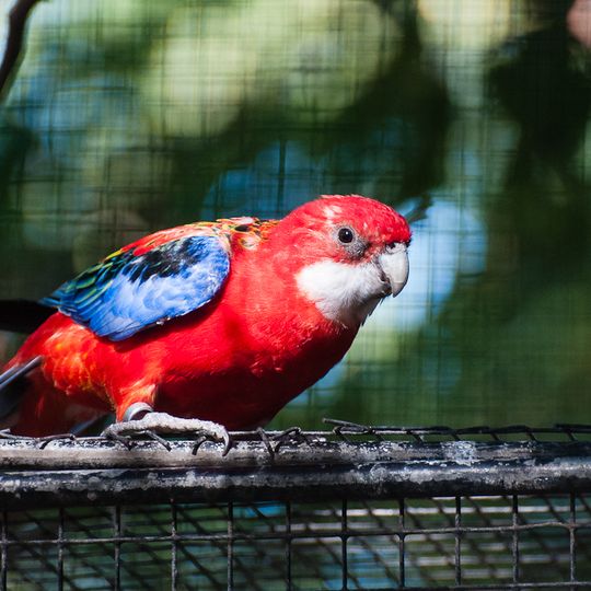 Zoo Parc de Cheptainville