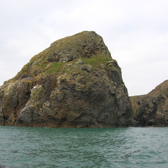 Ynys Gwelltog
