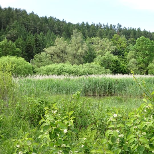 Unterm Siegel bei Bebra