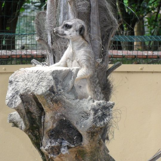 Faunistic Park Cappeller