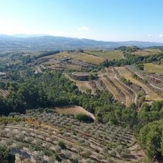 Musée de l'Olivier (Vignolis)