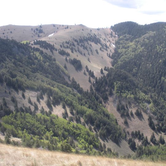 Foresta nazionale di Lincoln