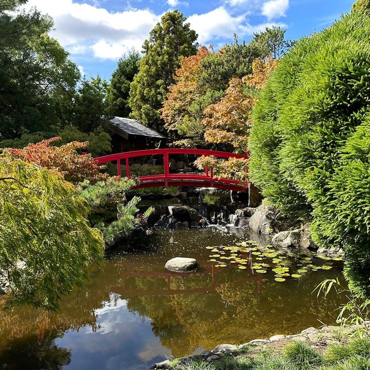 Royal Tasmanian Botanical Gardens