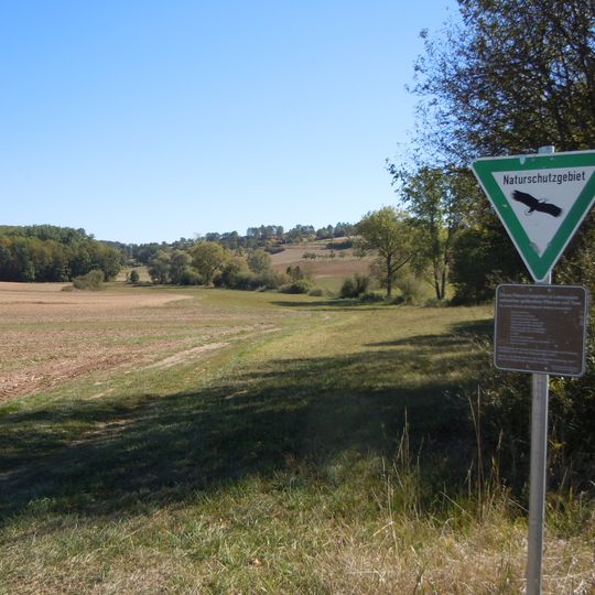 Tiefenbronner Seewiesen