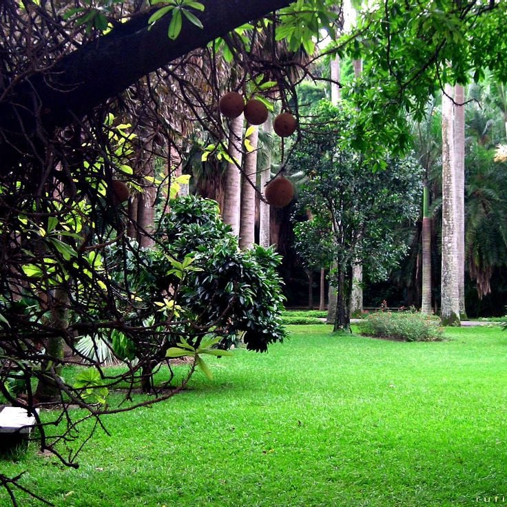 Jardín Botánico de Caracas