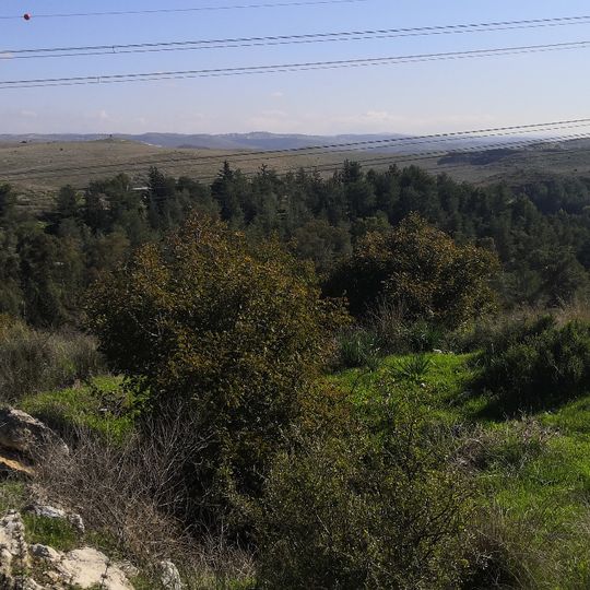 A pretty view to the east