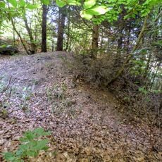 Wallanlage bei Altgrafenstein