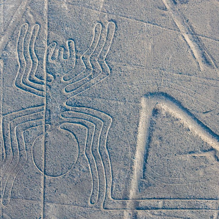 Les lignes de Nazca