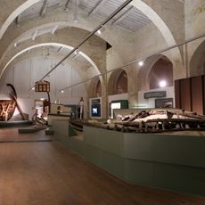 Museo delle Navi Antiche