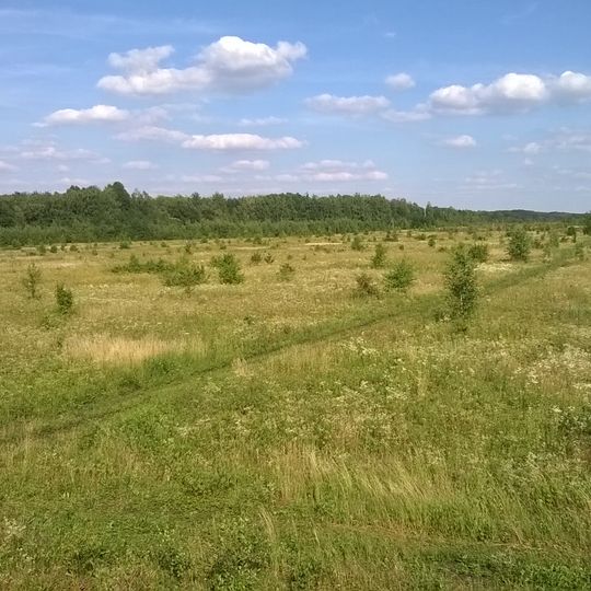 Zolotuchinskij rajon