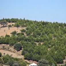Capela de Santa Eufémia (Sendim da Serra)